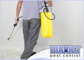 pest control company