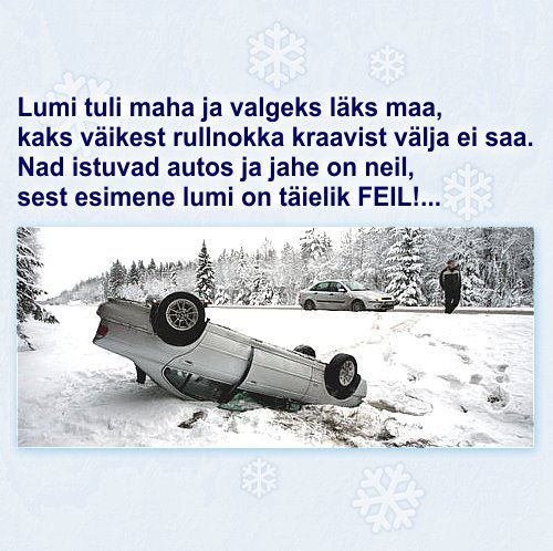 Pilt