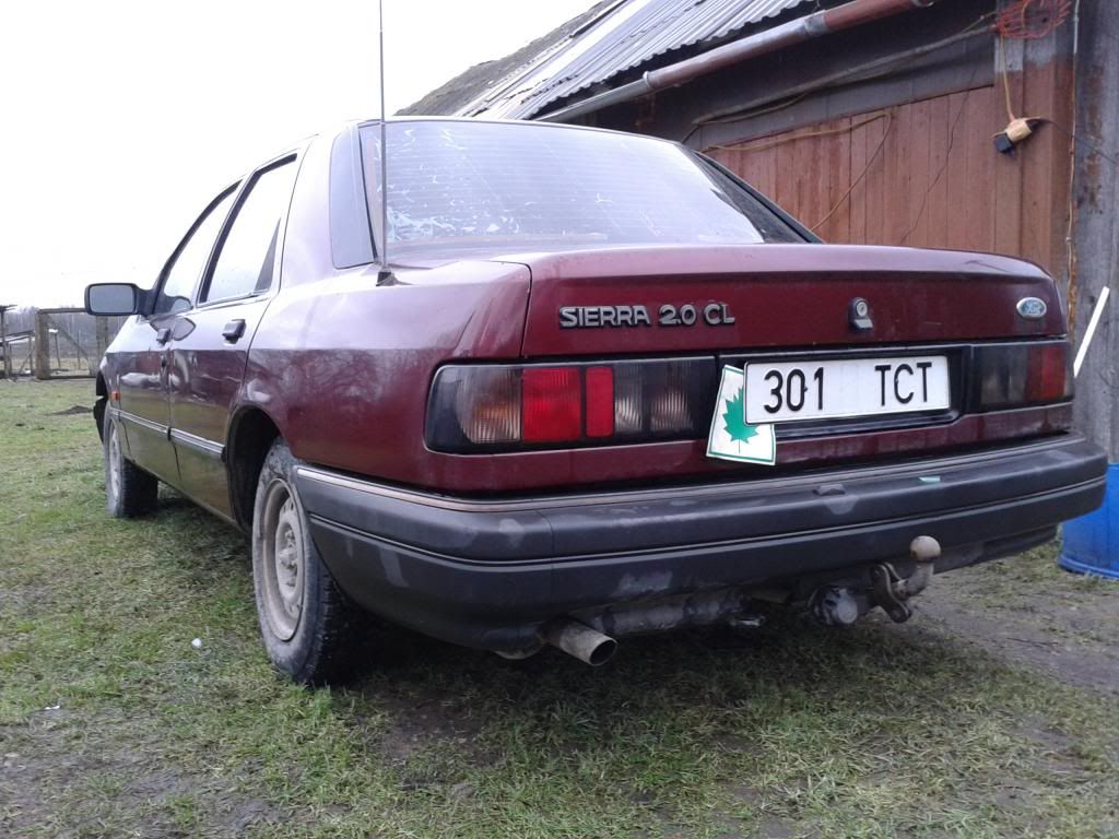 Pilt