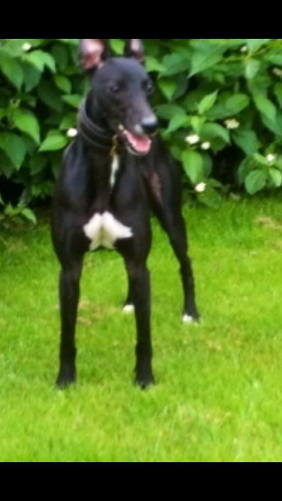 E8F83B06-2EBF-45B8-8361-977DC8C33912-367