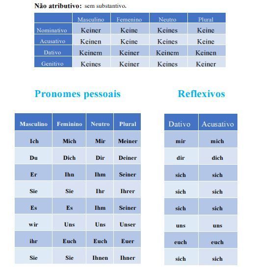 Alemão gramática Duolingo