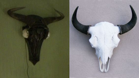 BisonSkullFromSherlockology_zpsez0eewi7.