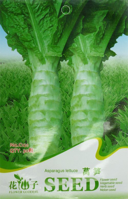1 Pack 30 Asparagus Lettuce Seeds Lettuce Organic C121 eBay