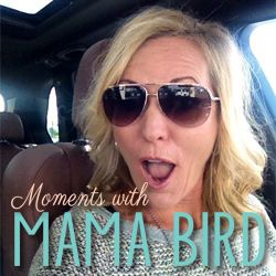 Moments With Mama Bird
