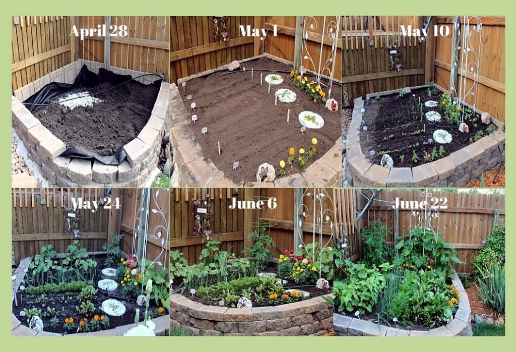 Life & Time of My Raised Bed Garden - Easy Life Meal & Party Planning