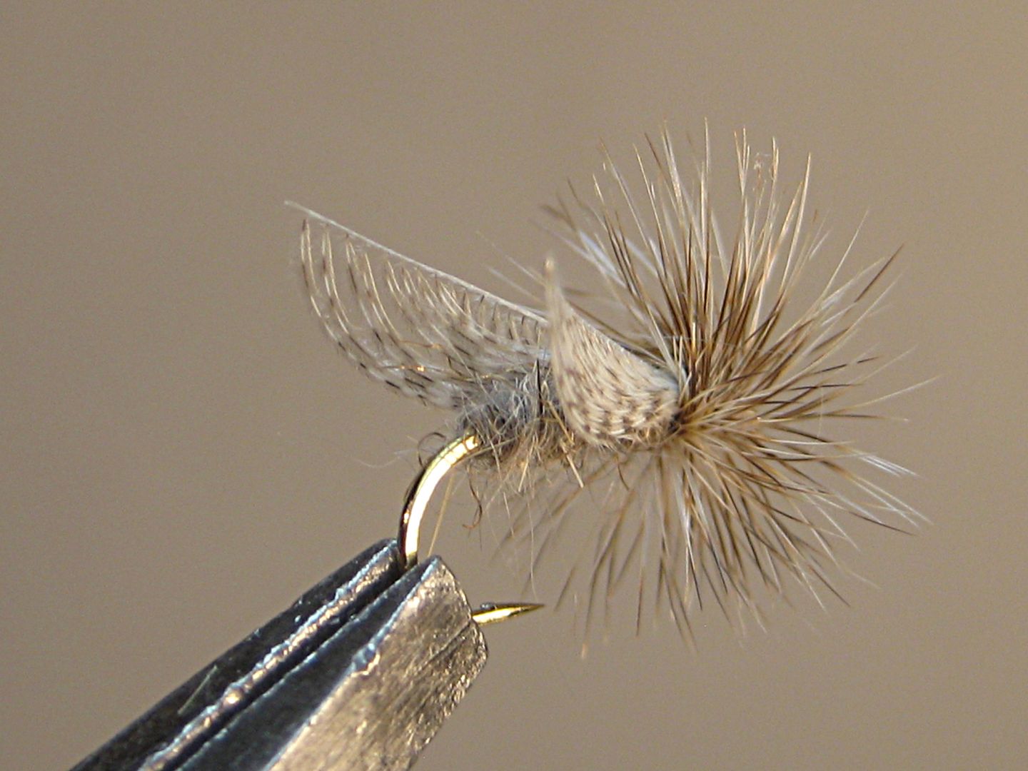 Wally Wing Caddis | Washington Fly Fishing Forum