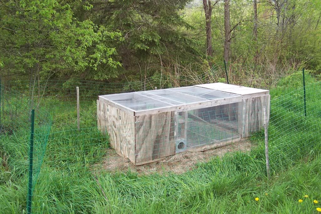 Quail Recall Pen/Johnny House General Discussions Upland Journal Board