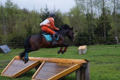  photo 1476960-12-1432906066263_zpswpwgjy1g.jpg