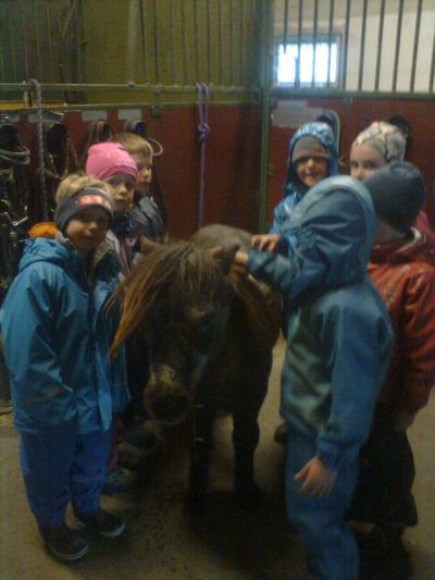  photo 1476960-9-1432904258734_zpsjnjdctqv.jpg