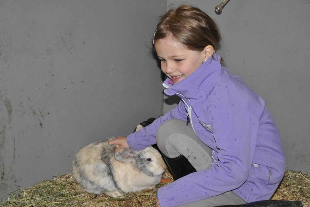  photo Malvik kaninkos_zpslo1bco49.jpg