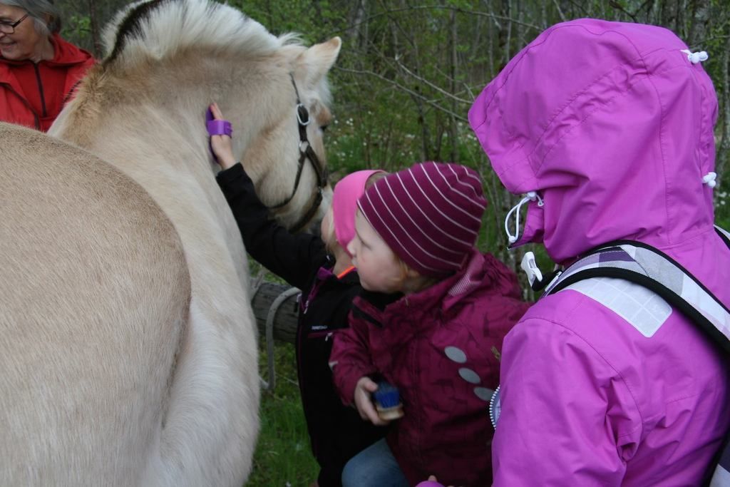  photo Bilete 4_zpslvgvtyzl.jpg