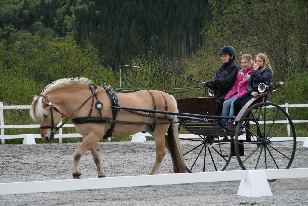  photo Bilete 5_zps2r5a3jcw.jpg