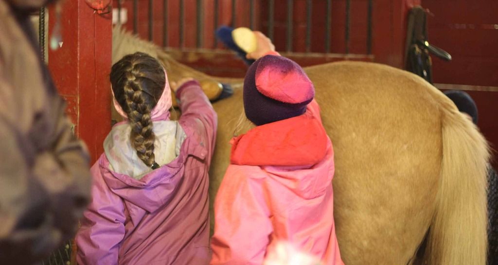  photo Aringpen stall - Gjoslashvik Rideklubb 7_zpso54ms1fr.jpg