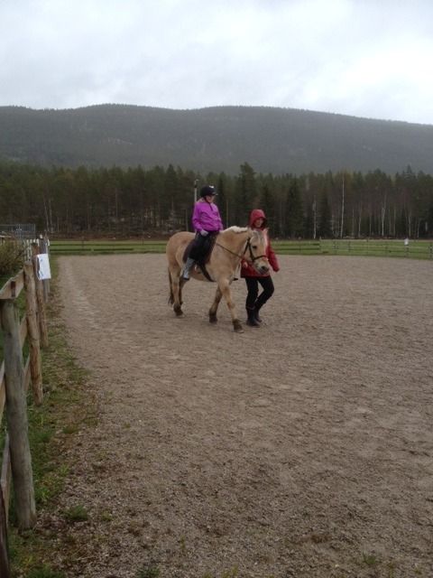  photo IMG_0568_zpsfzyzkhoo.jpg