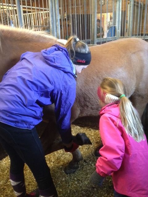  photo IMG_0573_zps5pdrxpbe.jpg