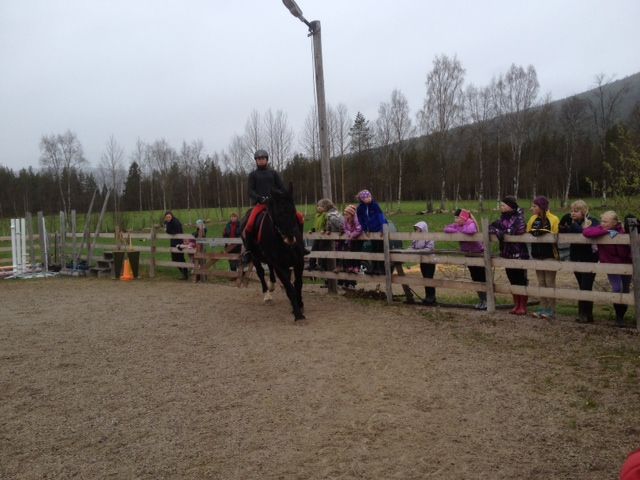  photo IMG_0574_zpsrig7oau9.jpg