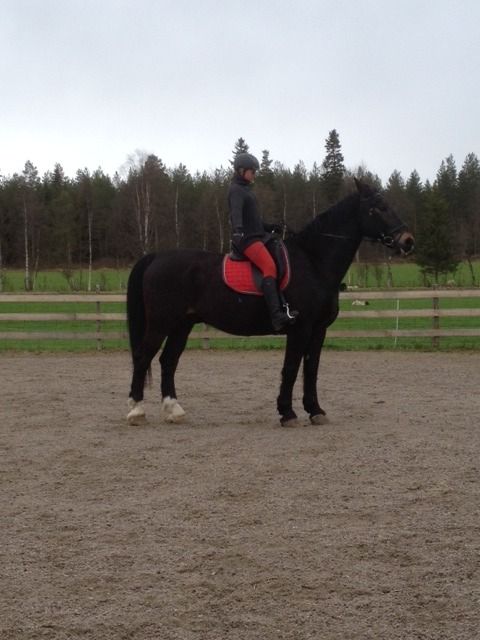  photo IMG_0575_zpsbgnsuv6u.jpg