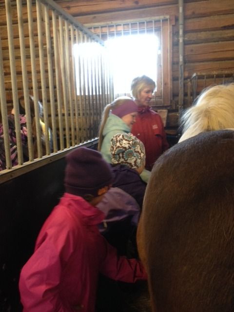  photo IMG_0577_zps2hwfmnj2.jpg