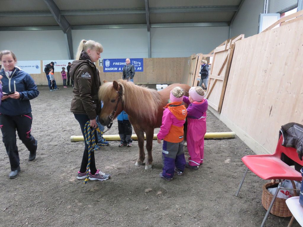  photo IMG_1214_zpsutatzznt.jpg