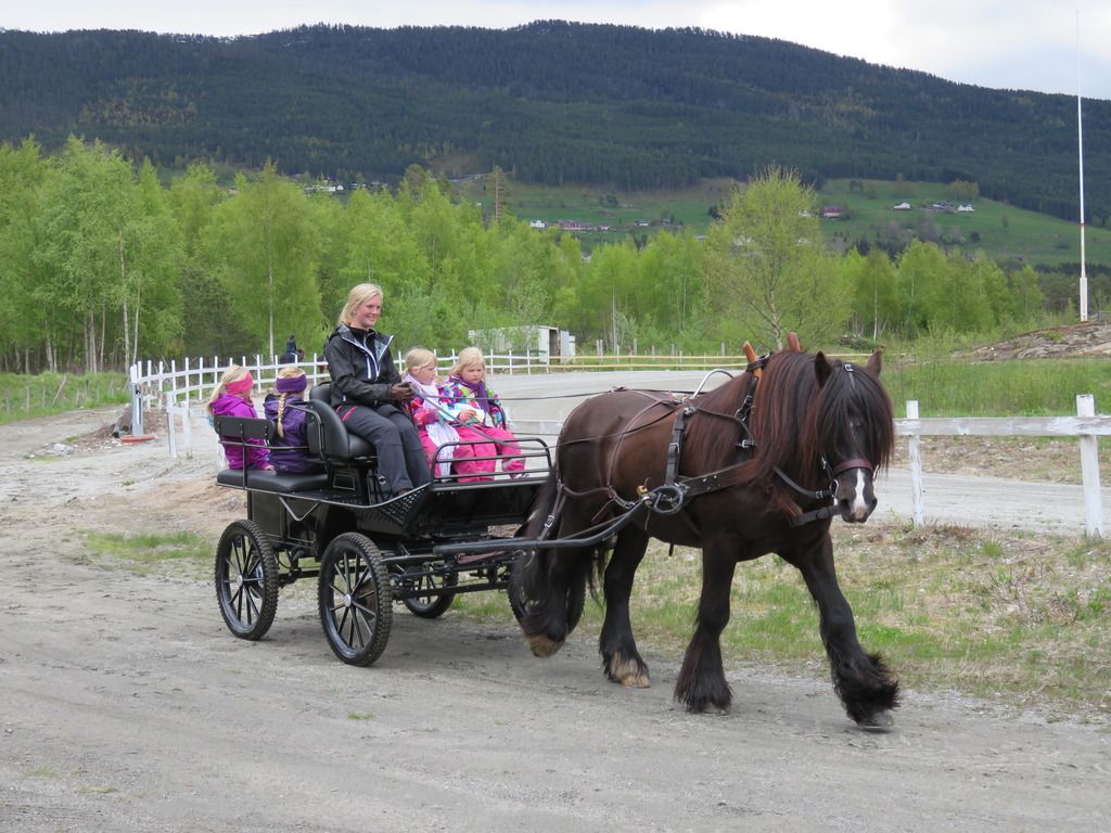  photo IMG_1278_zpsnkin7dpa.jpg