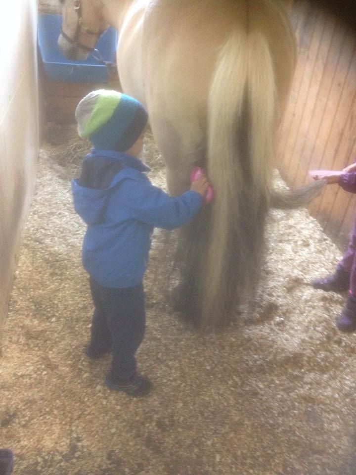  photo 10407943_10153058568124635_4496315402345926824_n_zpsxifo9fqb.jpg