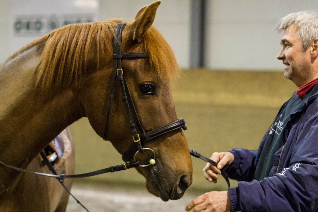  photo 10547949_10204721622895552_944769623831070715_o_zpsdjaxfdtj.jpg