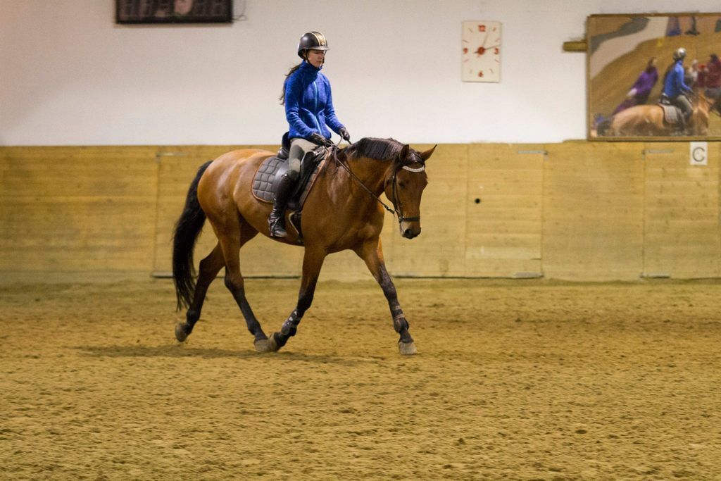  photo 10924213_10204721627735673_7112410459756394946_o_zpslsklp8qw.jpg