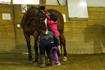  photo 10982404_10204721618575444_2122297845546028847_n_zpsbqb0bqrp.jpg