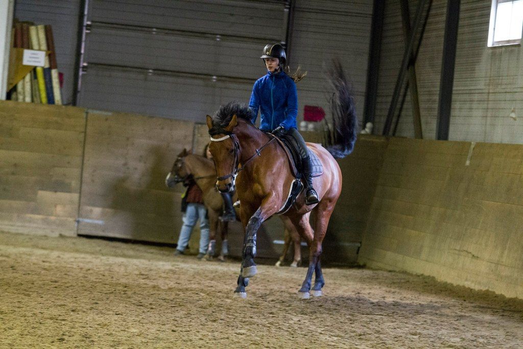  photo 11393343_10204721626495642_1280865474228532687_o_zpsz9aviciz.jpg