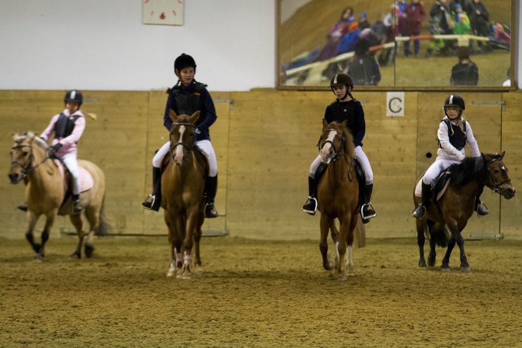  photo 1496004_10204721631535768_697306140408224672_o_zpsr5m4zy3v.jpg