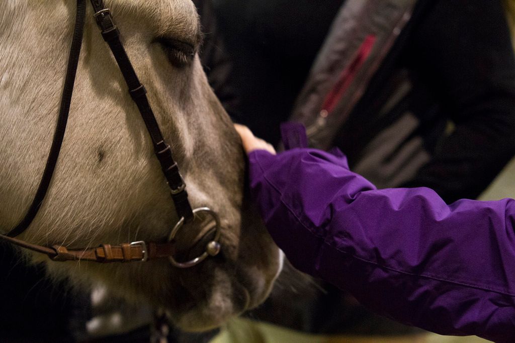  photo _MG_02982_zps3mjtxllv.jpg