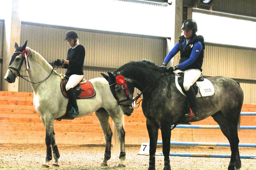  photo IMG_7484_zpsk6okeck0.jpg