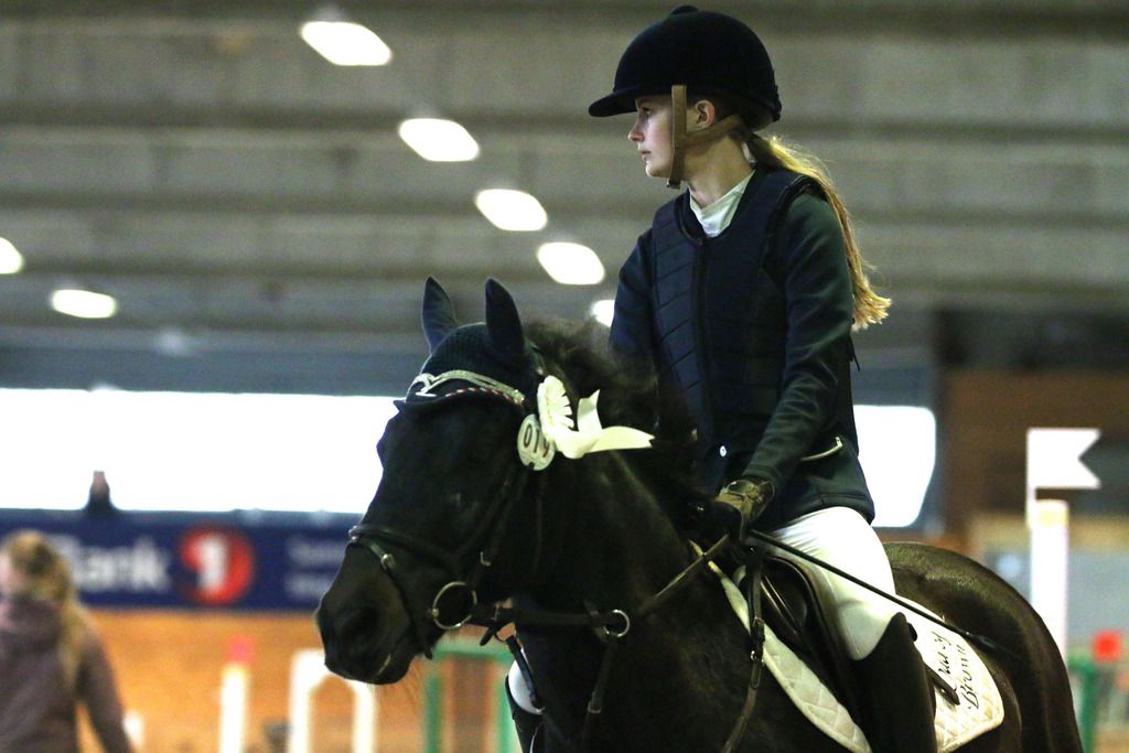  photo IMG_7804_zpsjckfibm3.jpg