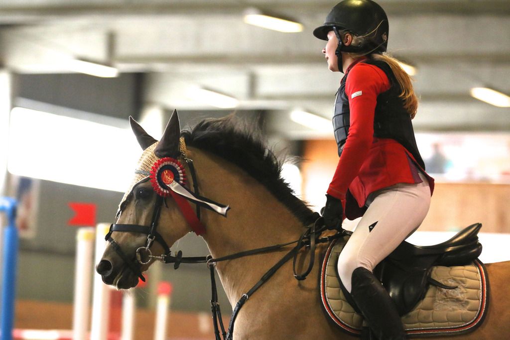  photo IMG_8178_zpsgxe6exwx.jpg