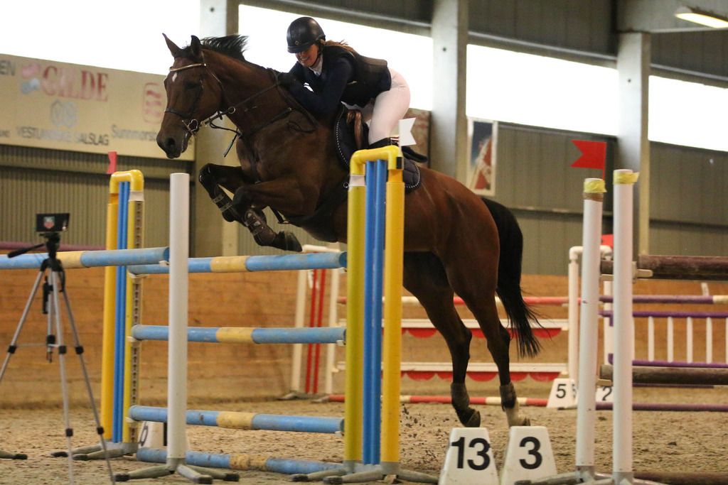  photo IMG_9411_zps4nmm6oan.jpg