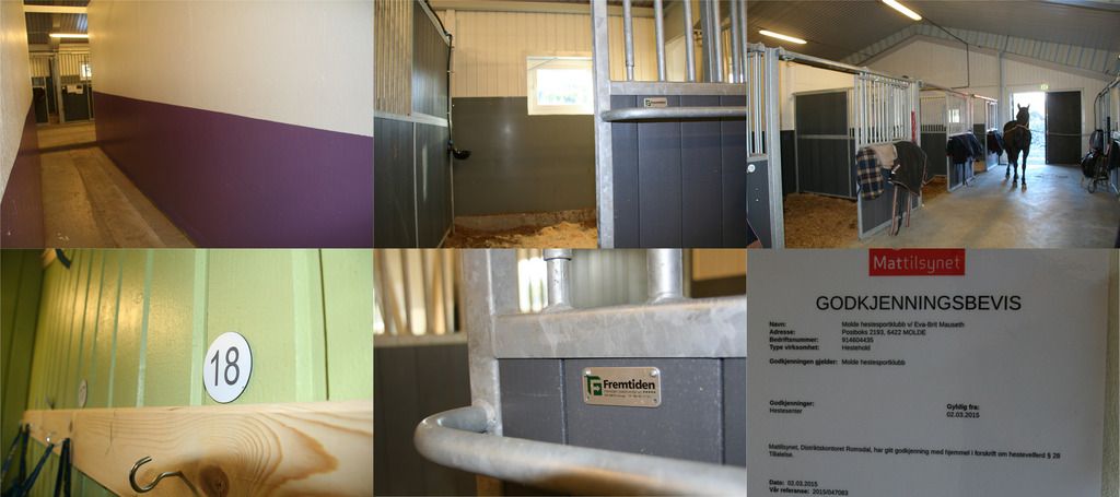  photo Molde stallen_zpsreqwvely.jpg