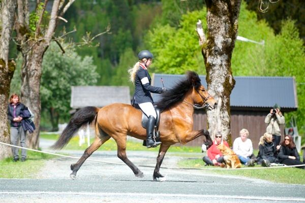  photo BIlde 1 DSC_3605_zps3hhr7liv.jpg