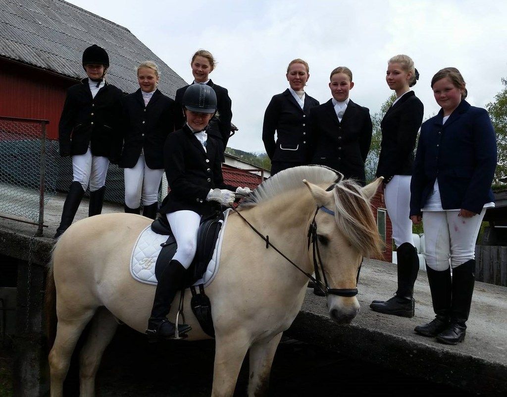 photo pinsestevne2015_zps5zv9kwtd.jpg