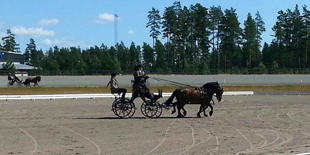 Anja Utsigt / MR. TOUCHY og MR. DARKY i Nordisk photo Ponni par Nordisk _zpsnejiyhxh.jpg