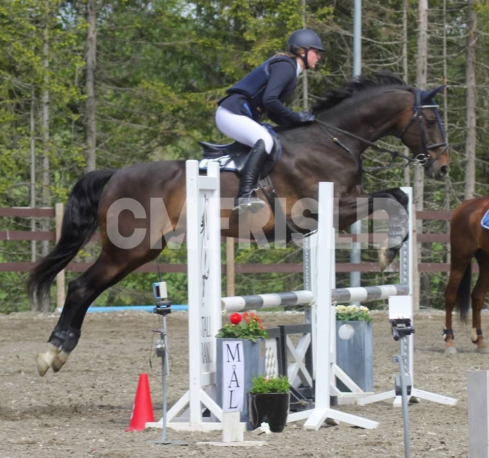  photo Bruraringk - Lisa og Ravi_zpsu18skdup.jpg