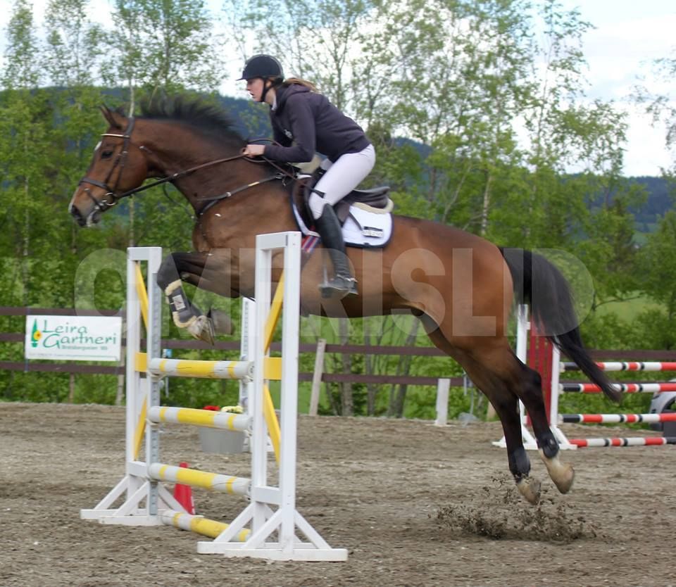 photo Bruraringk - Thea og CC_zpsz9fthnwv.jpg