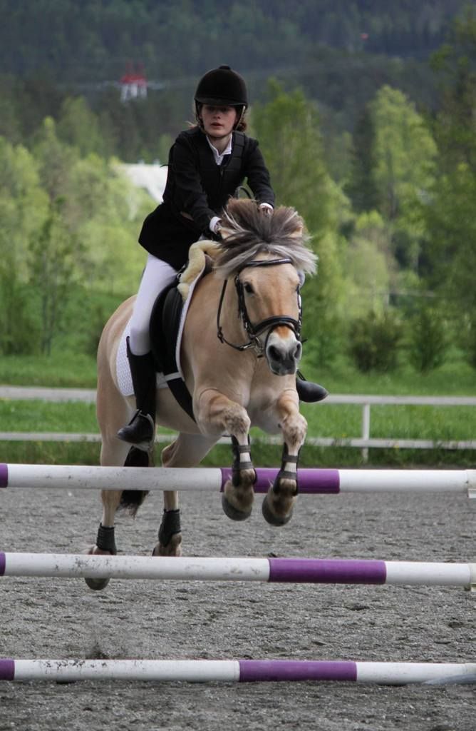  photo Foslashrde 001_zpsiw92fef8.jpg