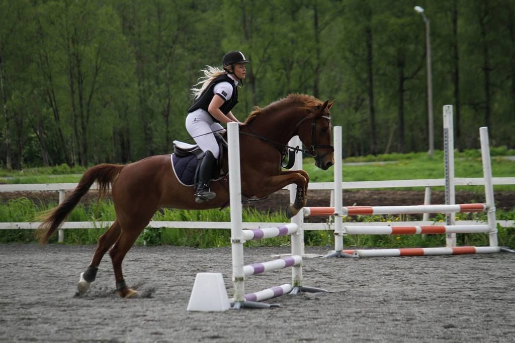  photo Foslashrde 002_zpsaycxtb8d.jpg