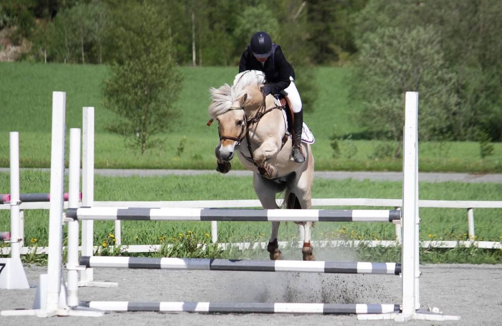  photo Foslashrde 003_zpsozoveqpt.jpg