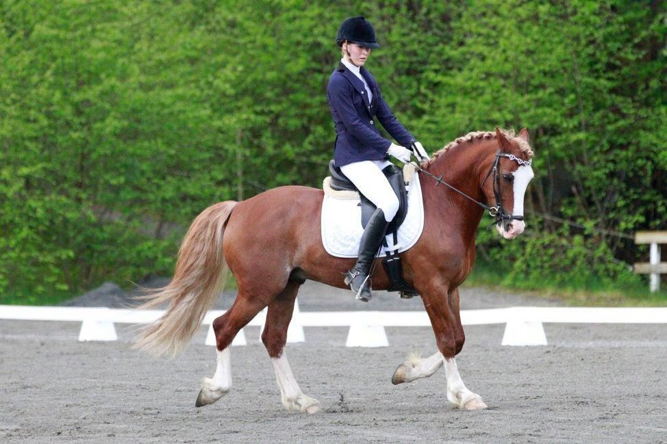  photo Sula Elisabeth Molvaer_zpsb7or8hpa.jpg