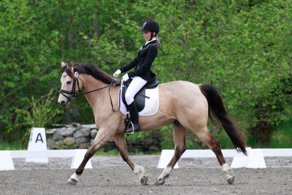  photo Sula Linnea Harneshaug_zpsq0ewkxvl.jpg