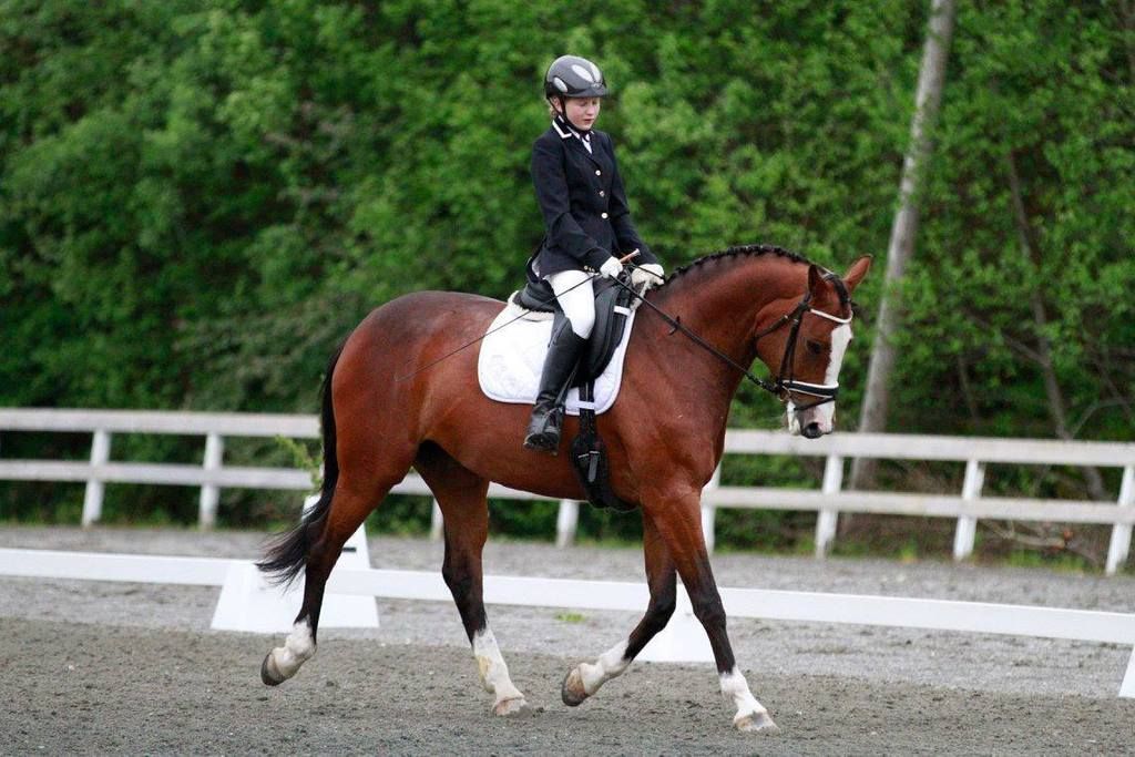  photo Sula Stine S Stange_zpsjv4hmrnz.jpg