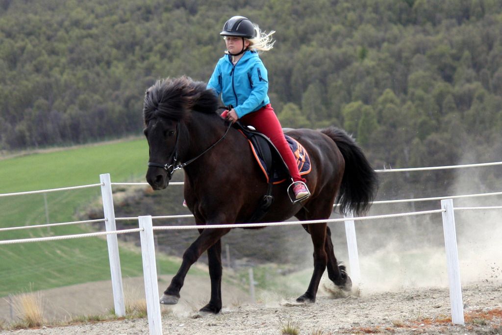 Dina Hjerkind og Angi fra Toven photo Dina Hjerkind og Angi fra Toven_zpsovprrulp.jpg
