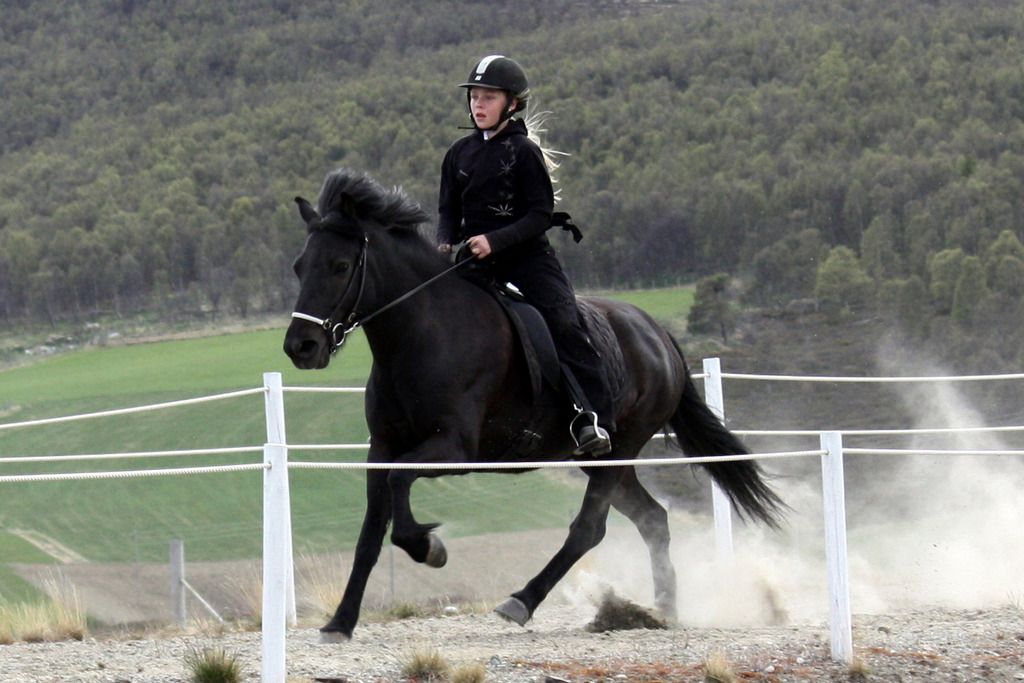 Maren Saeterhaug og Svaas fra Kvistli photo Maren Saeterhaug og Svaas fra Kvistli 3_zpseqlh44d3.jpg