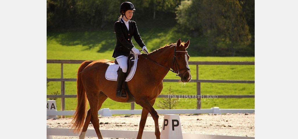 photo Holmestrand Bonheur_zps6w8thofh.jpg